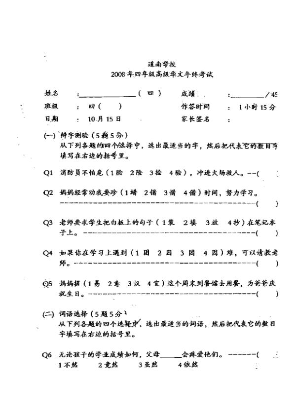 Tao Nan P4 Chi SA2 2008 exam paper PDF first page preview
