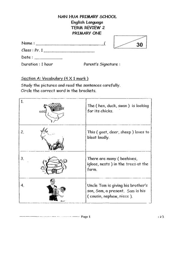 Nanyang P1 Eng SA2 2012 exam paper PDF preview