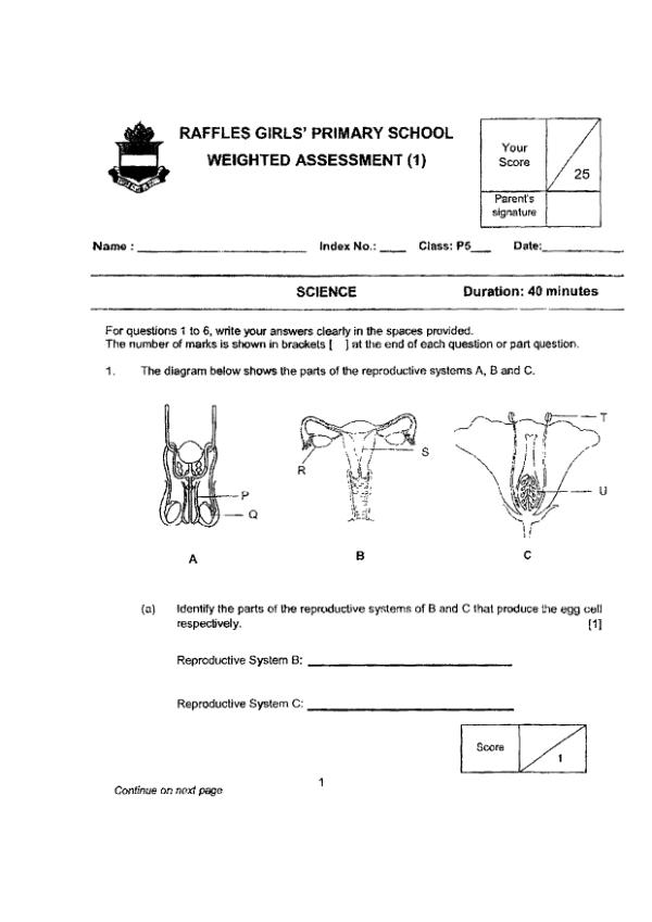 First page preview of P5 Sci 2024 WA1 — Raffles Girls