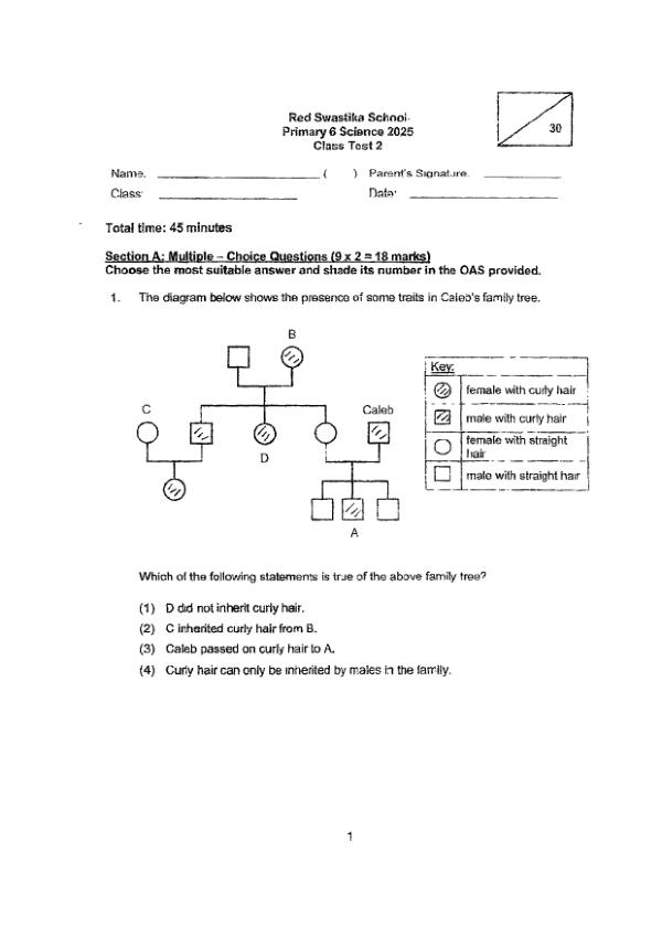 Red Swastika P6 Sci WA2 2025 exam paper PDF first page preview