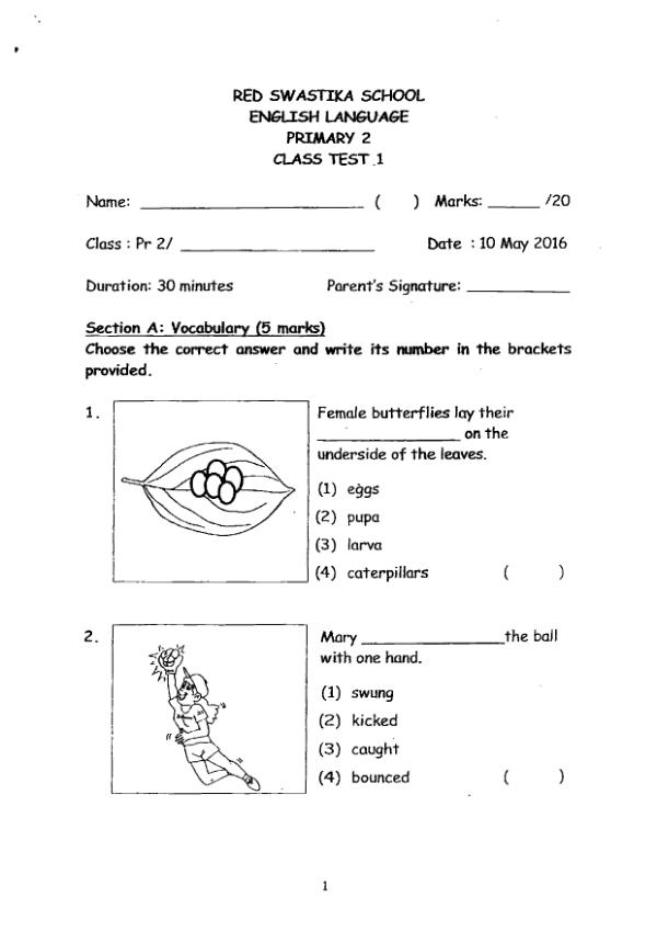 Red Swastika P2 Eng WA2 2016 exam paper PDF first page preview