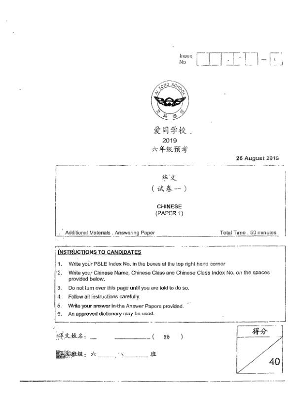 Ai Tong P6 Chi SA2 2019 exam paper PDF preview