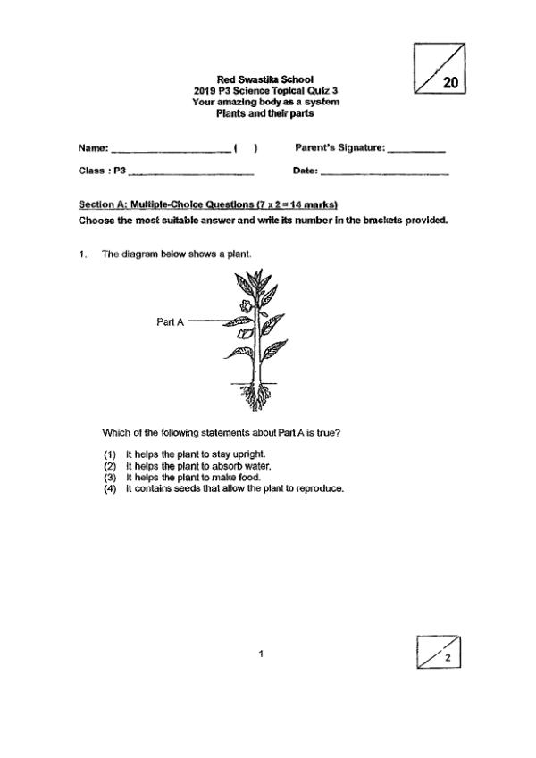 Red Swastika P3 Sci WA3 2019 exam paper PDF first page preview