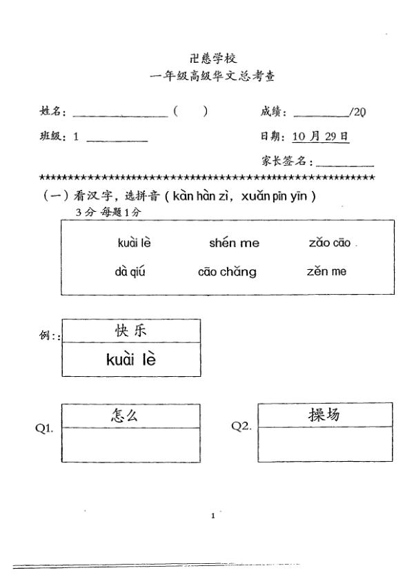 Red Swastika P1 Chi SA2 2013 exam paper PDF preview