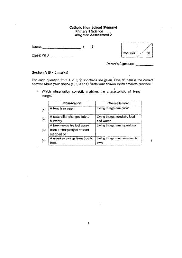 First page preview of P3 Sci 2024 WA2 — Catholic High