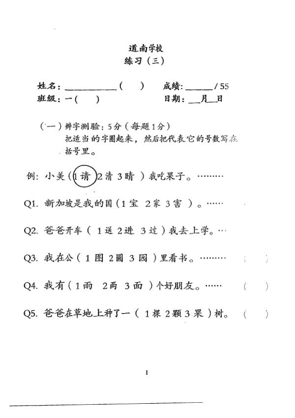 Tao Nan P1 Chi WA3 2013 exam paper PDF first page preview