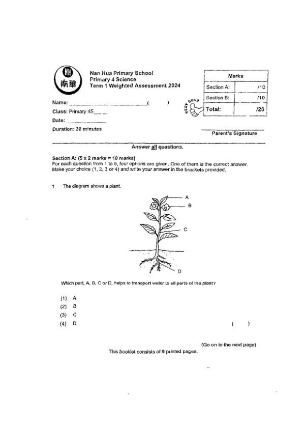First page preview of P4 Sci 2024 WA1 — Nan Hua