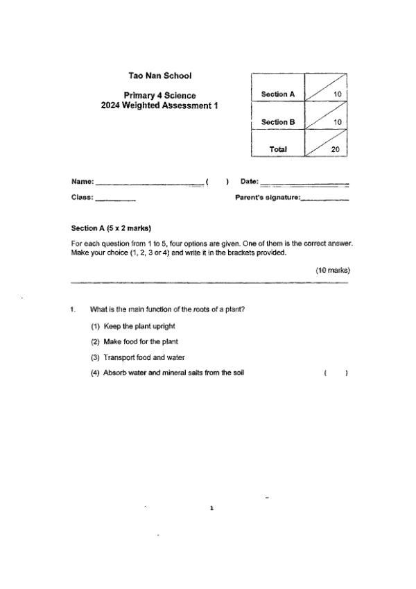 First page preview of P4 Sci 2024 WA1 — Tao Nan