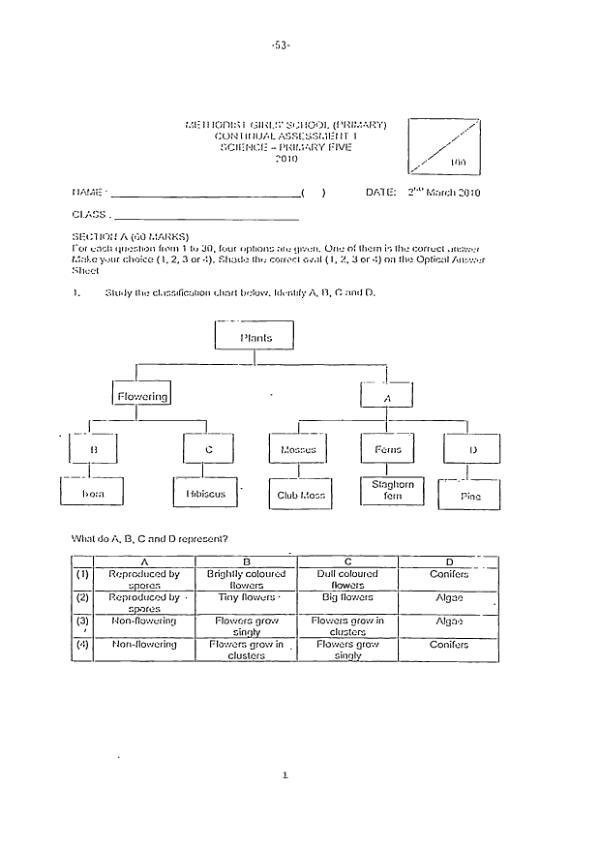 Methodist Girls P5 Sci WA1 2010 exam paper PDF first page preview