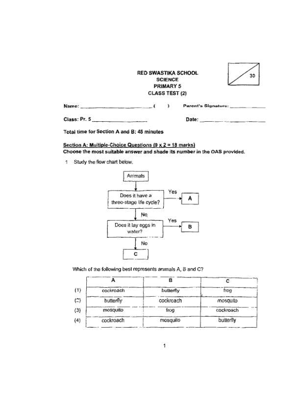 First page preview of P5 Sci 2024 WA2 — Red Swastika