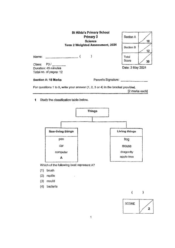 First page preview of P3 Sci 2024 WA2 — St Hildas