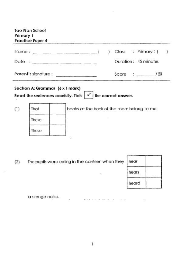 Tao Nan P1 Eng SA2 2013 exam paper PDF preview