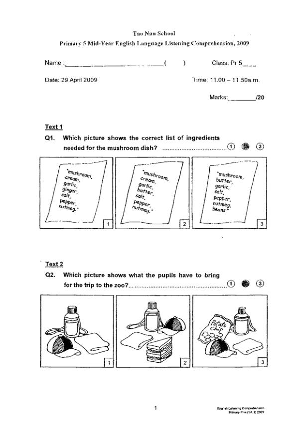 Tao Nan P5 Eng WA2 2009 exam paper PDF first page preview