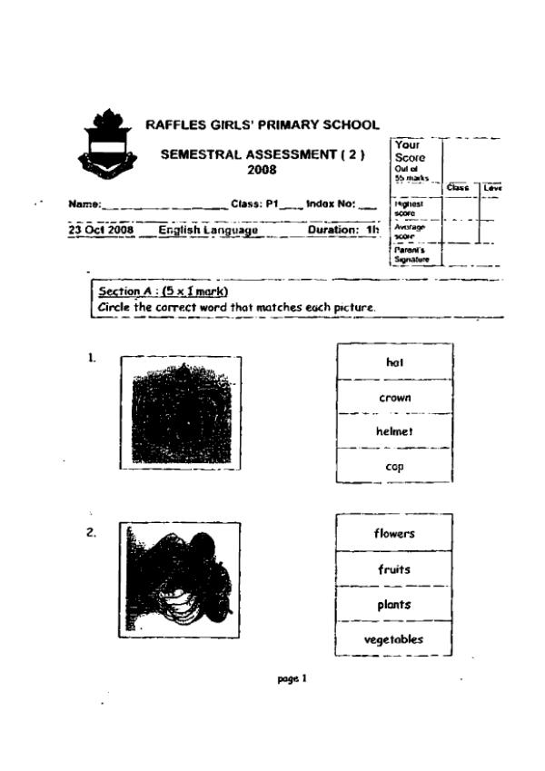 Raffles Girls P1 Eng SA2 2008 exam paper PDF first page preview