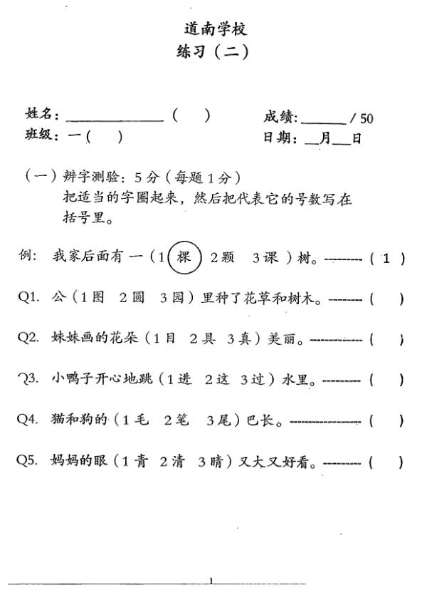 Tao Nan P1 Chi WA2 2013 exam paper PDF first page preview