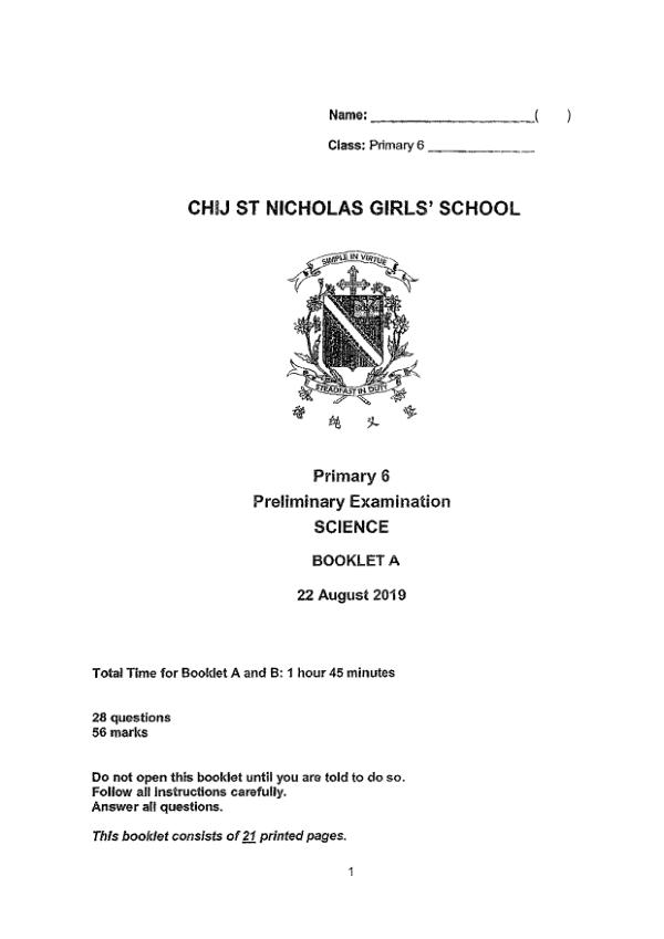 CHIJ P6 Sci SA2 2019 exam paper PDF first page preview