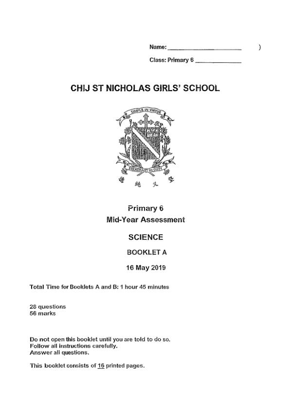 CHIJ P6 Sci WA2 2019 exam paper PDF first page preview
