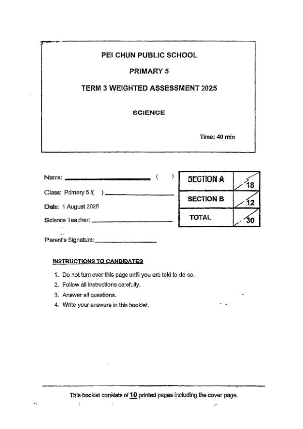 First page preview of P5 Sci 2025 WA3 — Pei Chun